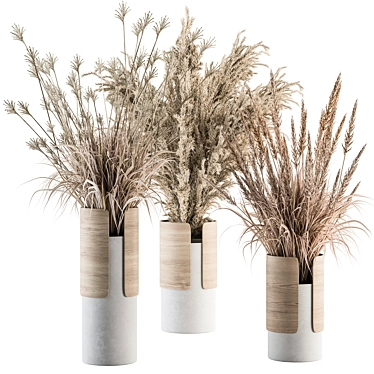 Pampas Dry Plants Bundle 3D model image 1 