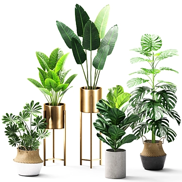 Green Oasis Set 04 3D model image 1 