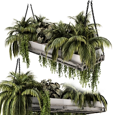 Metal Box Indoor Hanging Plants 3D model image 1 