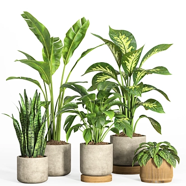 Modern Indoor Plant Set 37 3D model image 1 