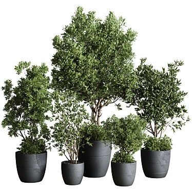 Concrete Olive Tree Plant Set 3D model image 1 