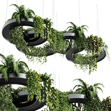 Modern Hanging Indoor Plant 3D Model 3D model image 1 