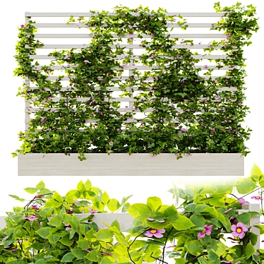 Rustic Outdoor Plant Set 08 3D model image 1 