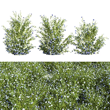Botanical 3D Plant Models Set 3D model image 1 