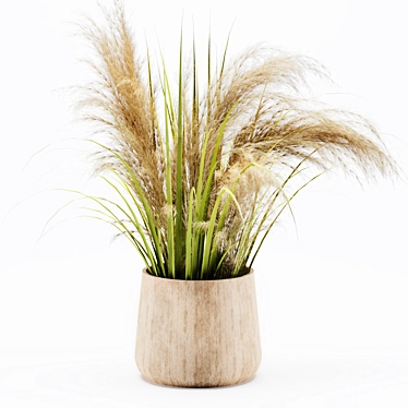 Pampas Grass Bouquet for Decor 3D model image 1 