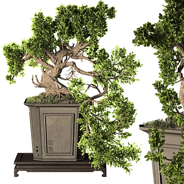 Exquisite Bonsai Tree Collection 03 3D model image 1 