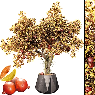 Autumn Pomegranate Tree Scene 3D model image 1 