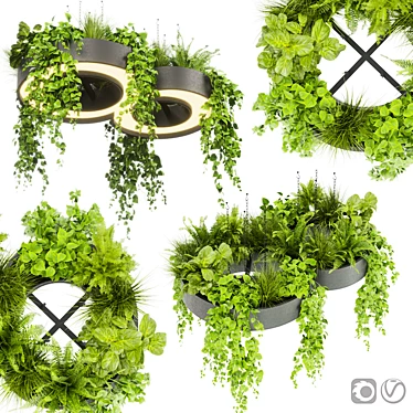 Pothos Ivy Hanging Plant Model 3D model image 1 