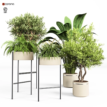 Blooming Indoor Plant Collection 3D model image 1 