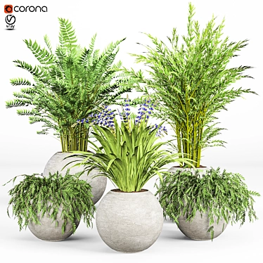 Modern Indoor Plant Set 09 3D model image 1 