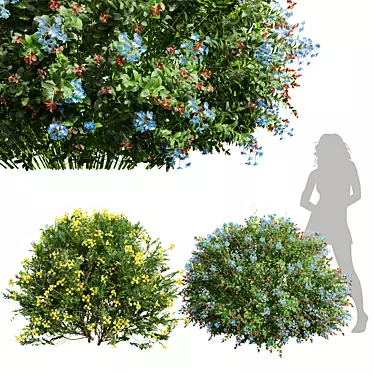 Versatile Plant 3D Models Collection 3D model image 1 