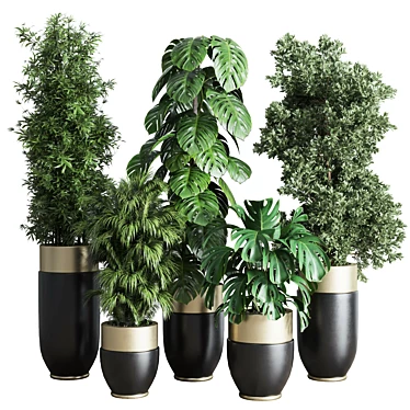  3D Indoor Plant Set with Longhi Godwin Pot 3D model image 1 