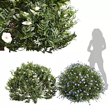 White Floral 3D Plant Models 3D model image 1 