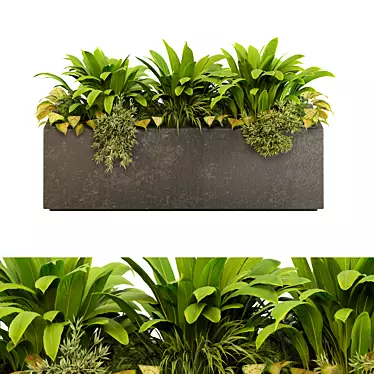 Botanical Sanctuary Outdoor Plants 3D model image 1 