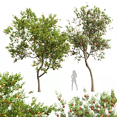 3D Apple & Persimmon Trees 3D model image 1 