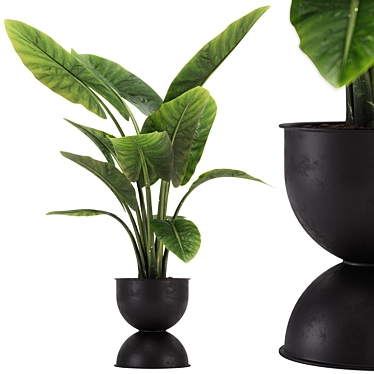 Exquisite Indoor Plant Set 36 3D model image 1 