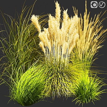 Title: Outdoor Switchgrass - Northwind Collection 3D model image 1 