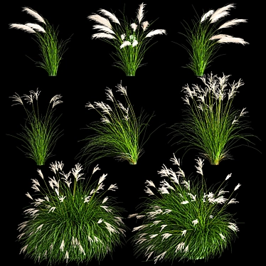 Decorative Grass Collection for Landscaping 3D model image 1 