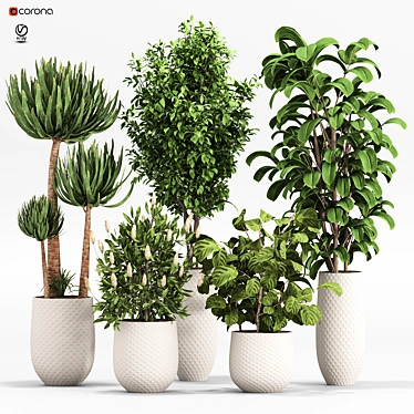 2015 Indoor Plant Set 010 3D model image 1 