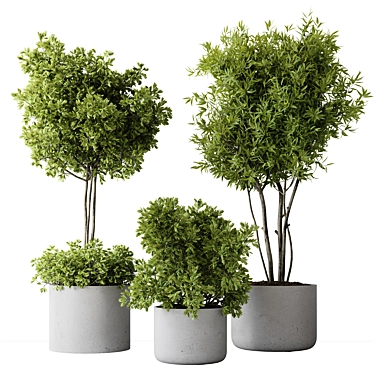 2015 Indoor Plant Set Max 3D model image 1 