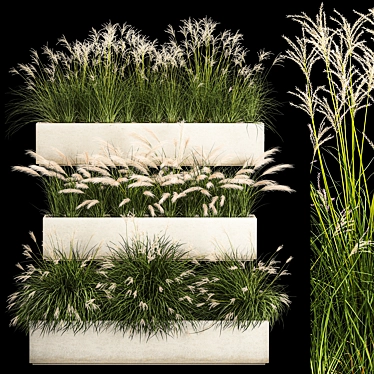 Decorative Grass Collection for Urban Landscaping 3D model image 1 