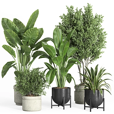 Modern Concrete Metal Indoor Plant 3D model image 1 