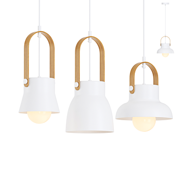 Glass Pendant Lamp with Wood Accent 3D model image 1 