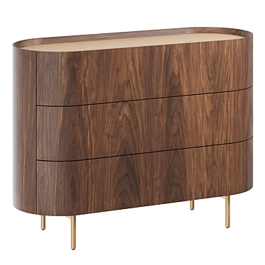 Art Deco Walnut & Leather Chest 3D model image 1 