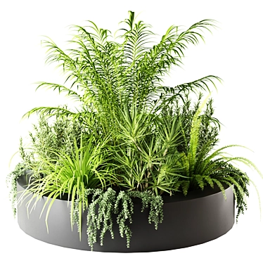 Round Indoor Plants in Stylish Pots 3D model image 1 