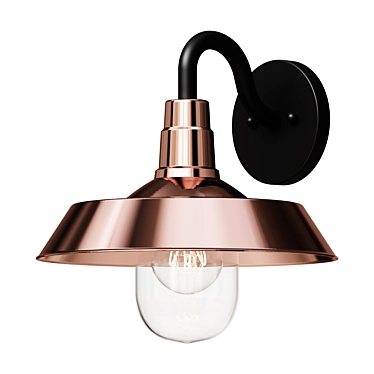 Copper Shallow Plate Wall Light 3D model image 1 