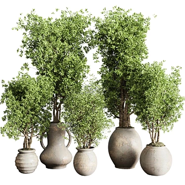 Old Earthenware Vase Olive Tree 3D model image 1 