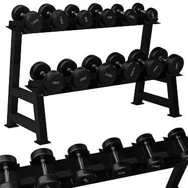 Gym Dumbbell Rack Organizer Stand 3D model image 1 