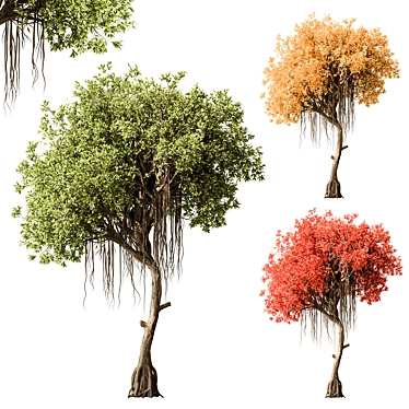 Japanese Garden Trees Collection. 3D model image 1 