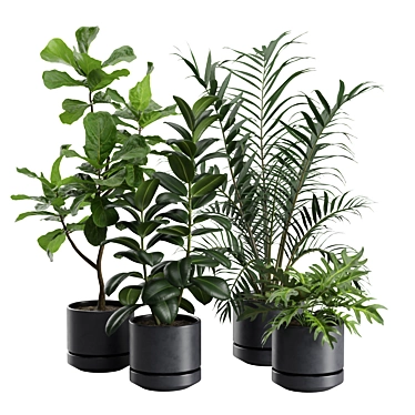 Exotic Indoor Plants Collection - 31 3D model image 1 