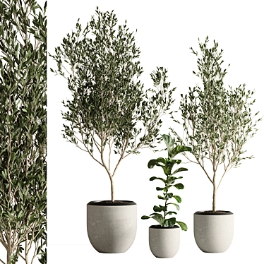 Exquisite Indoor Plant Set 43 3D model image 1 