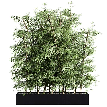 Bamboo Plants Box Set 320 3D model image 1 