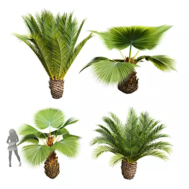 Tropical Plant Decor Set 3D model image 1 