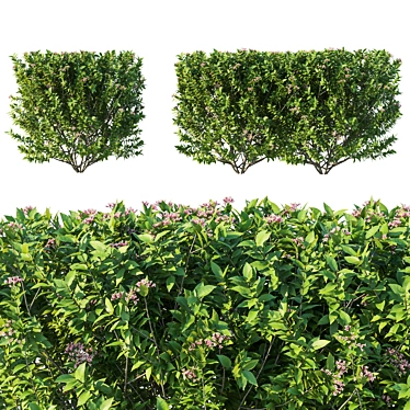 3D Bushes Model 2016 Render 3D model image 1 