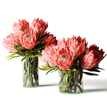 Protea Bouquets in Glass Vases 3D model image 1 