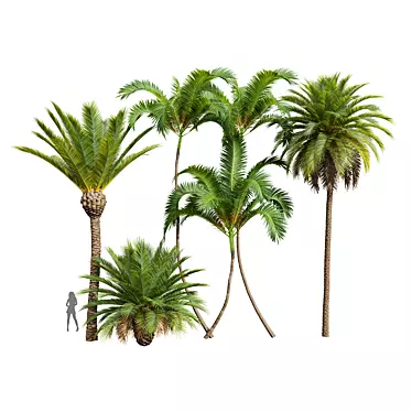 Exotic Plant 3D Models Bundle 3D model image 1 