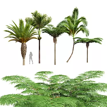 Tropical Plant 3D Models Collection 3D model image 1 