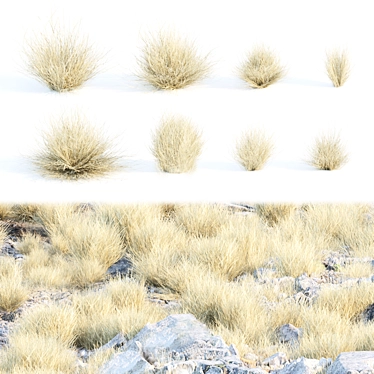 Wild Dry Grass Collection Vol.160 3D model image 1 