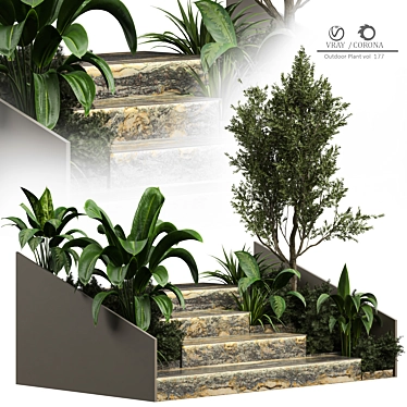 2015 Outdoor Plant 177 3D Model 3D model image 1 