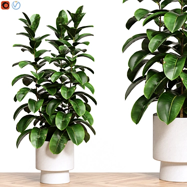 Nature 3D Plant Collection 91 3D model image 1 