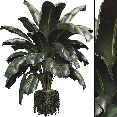 Modern Botanical Vase Set 3D model image 1 