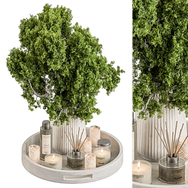 Modern Elegance Vase Plant Set 3D model image 1 