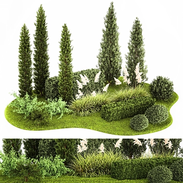 Coniferous Landscape Trees Collection 3D model image 1 