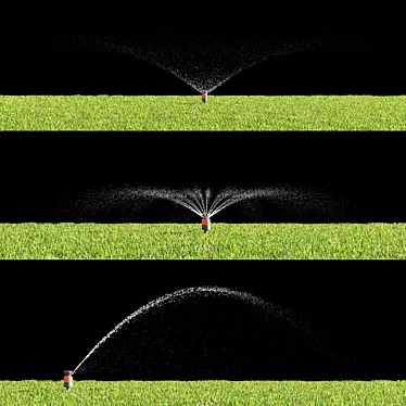 watering the lawn