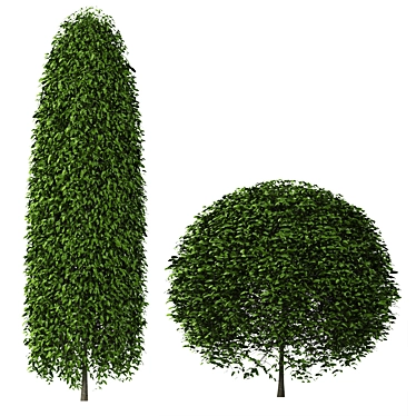 Spherical Bushes Set 3D model image 1 