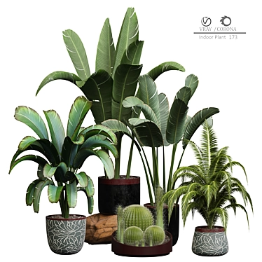 Artificial Indoor Plant 3D Model 3D model image 1 